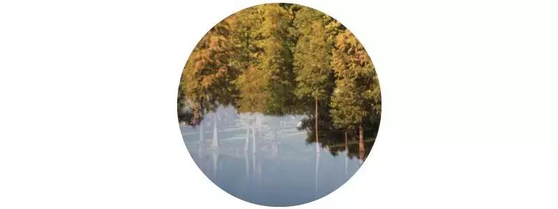 秋意浓，又到了泡温泉的好时节！南京汤山可真是个泡温泉的好地方