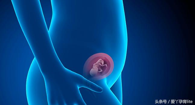 准妈妈孕十月养胎攻略