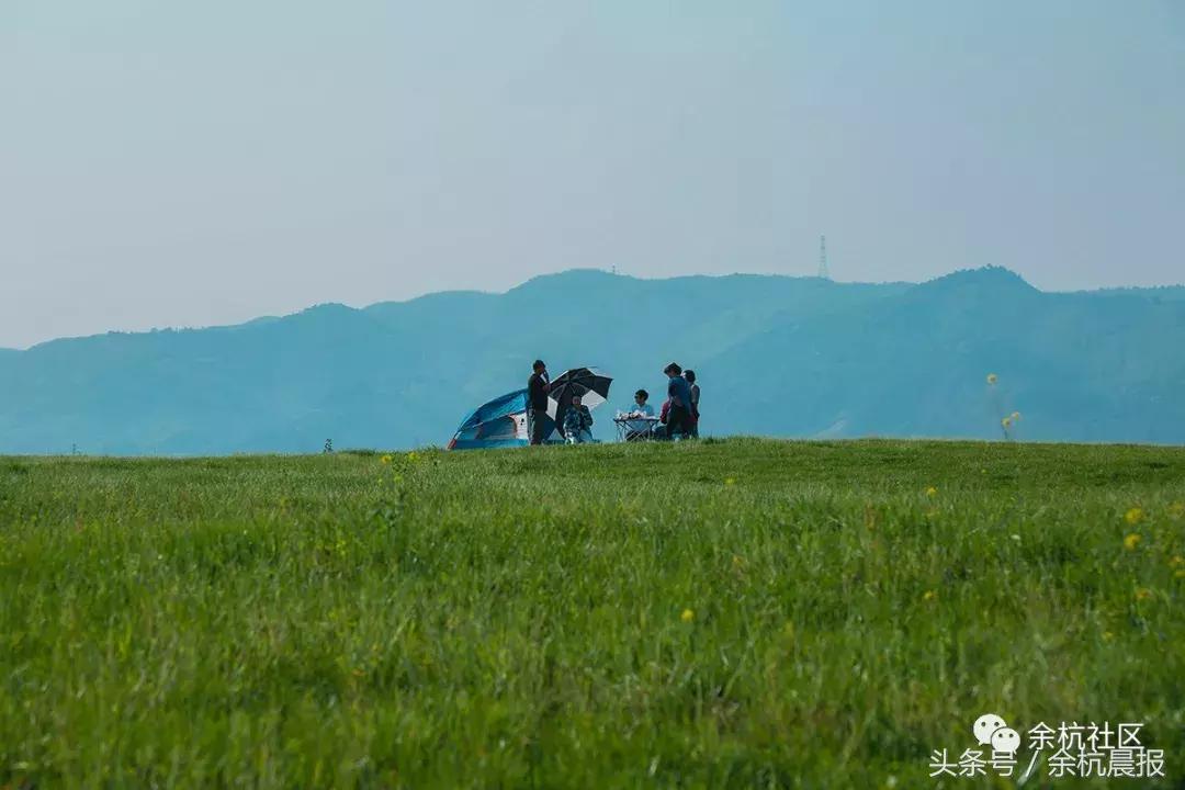 9090000㎡！余杭新增一大型公园，1299个足球场大！