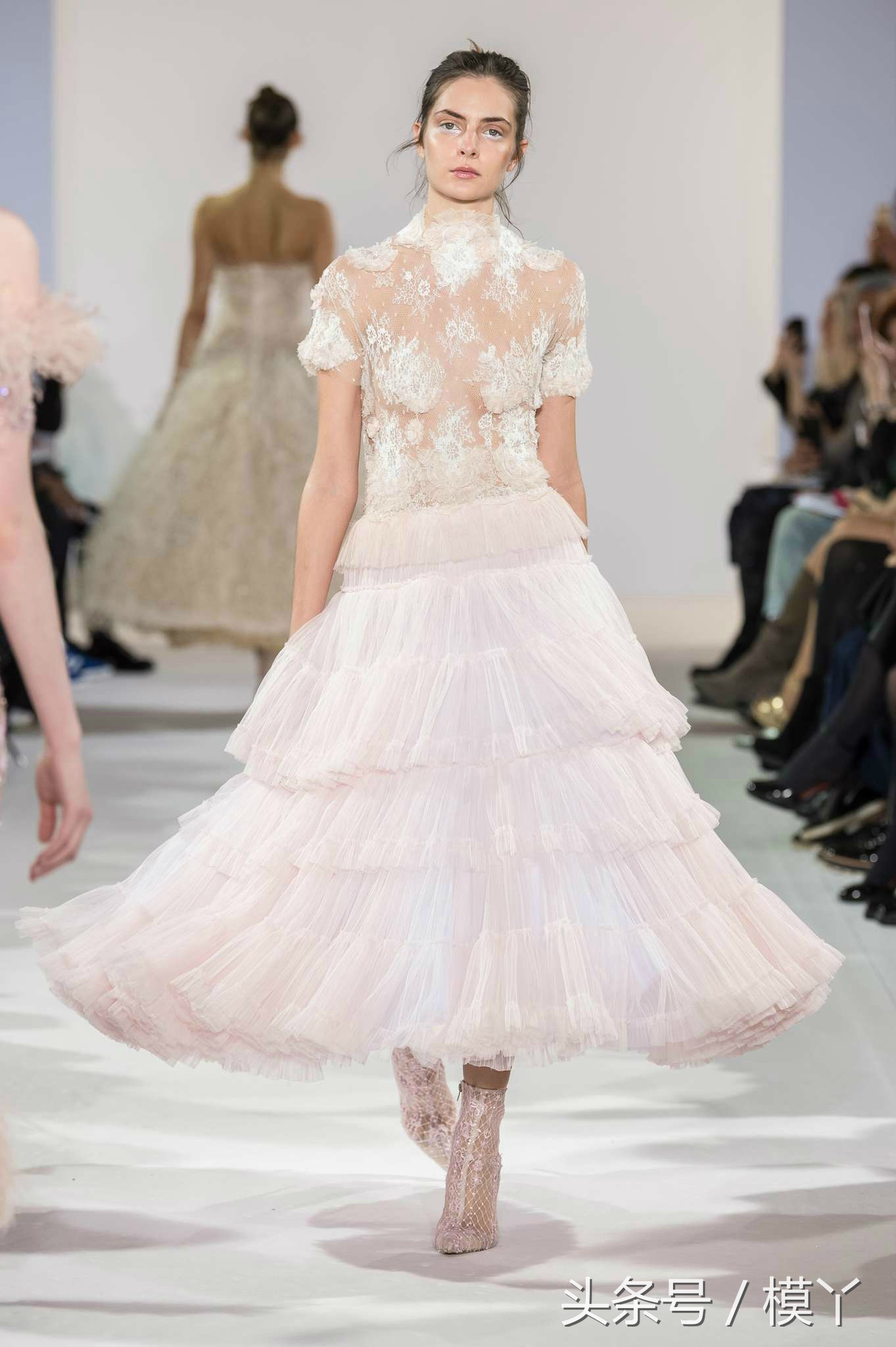 celiakritharioti楂樺畾,celiakritharioti濠氱罕