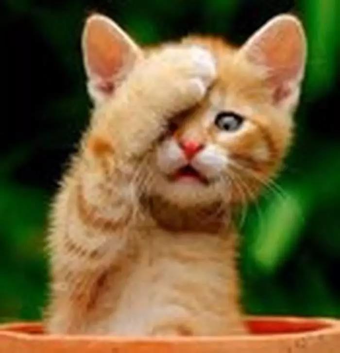 胆量悬殊的二人