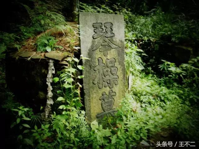 天下百病皆可治，世上相思无药医
