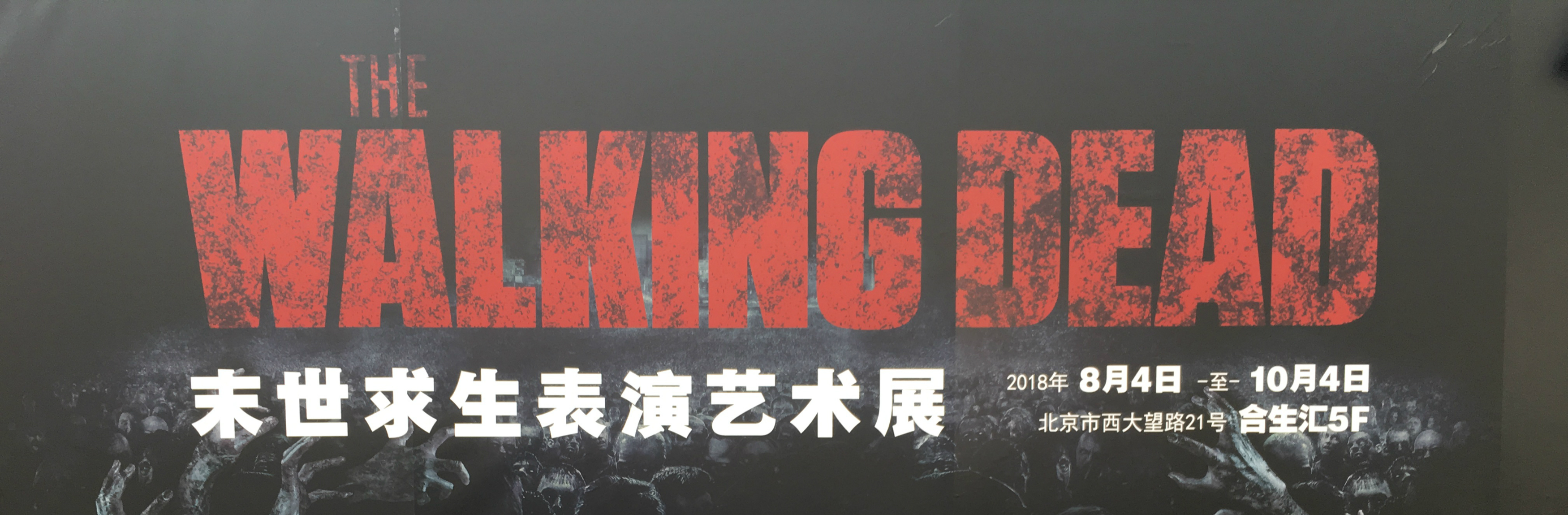 胆量悬殊的二人