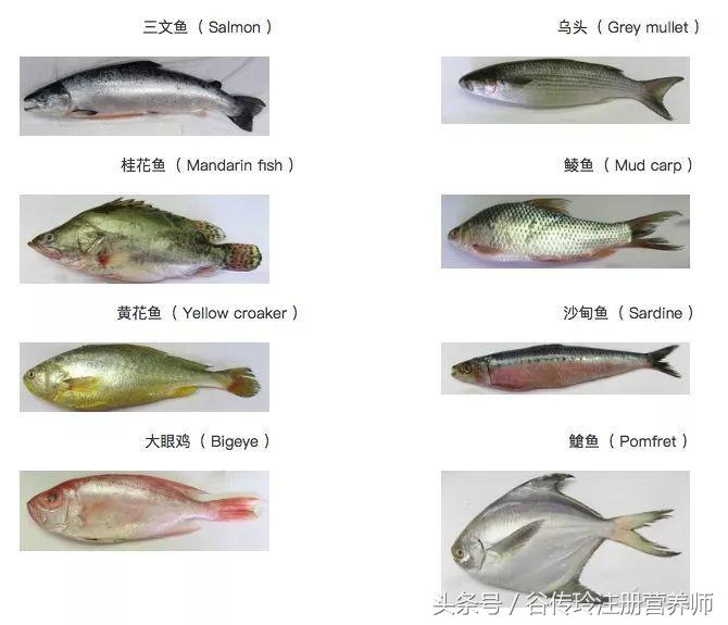 孕期所有饮食禁忌全在这儿,孕期高血压的饮食禁忌