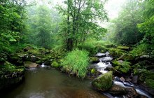 伊春市简介及概况,黑龙江伊春市位置