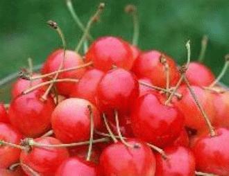 学会了你肯定会漂亮，快帮老婆留着！