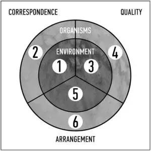 什么是原生态鱼,河北水族箱原生态