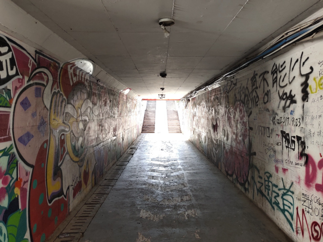 vivo闈炲嚒,vivox23闈炲嚒鎽勫奖