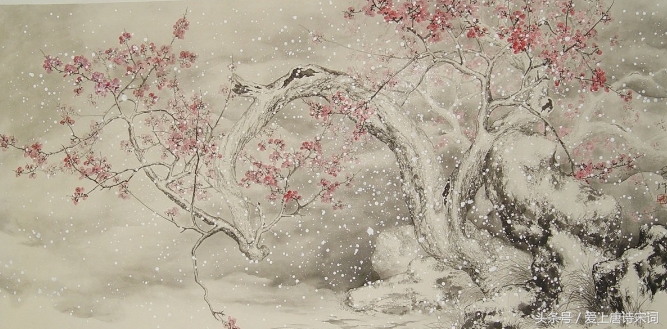 梅花古诗解析,唐诗三百首中梅花的意象