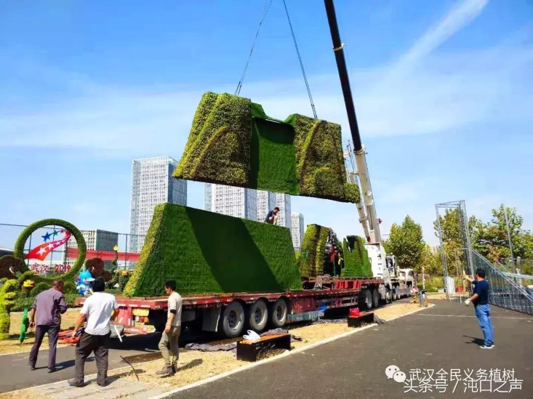 武汉第四十届菊展分别在哪里,武汉江滩第三十八届金秋菊展
