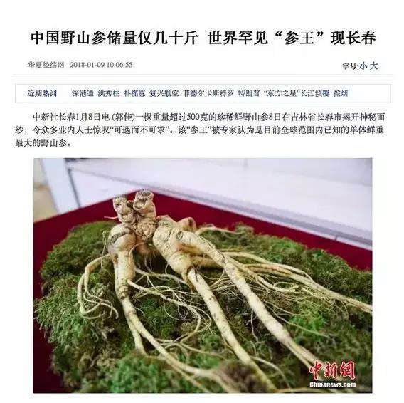 长白山鲜人参的正确吃法和功效,99%的人都没吃过的长白山鲜人参