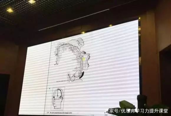 脑科学专家说如何发掘大脑潜能,脑科学家讲座视频