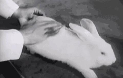 拜耳代表性药物,拜耳有哪些药