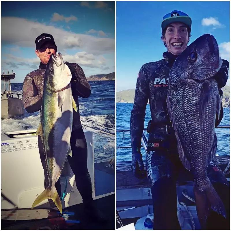 有超大草坪的庄园,大型生态农场庄园10万亩