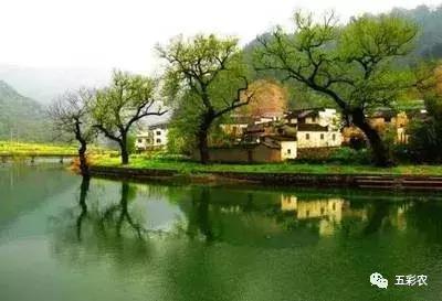 2020农业农村部28个政府补贴项目,国家农业补贴项目明细