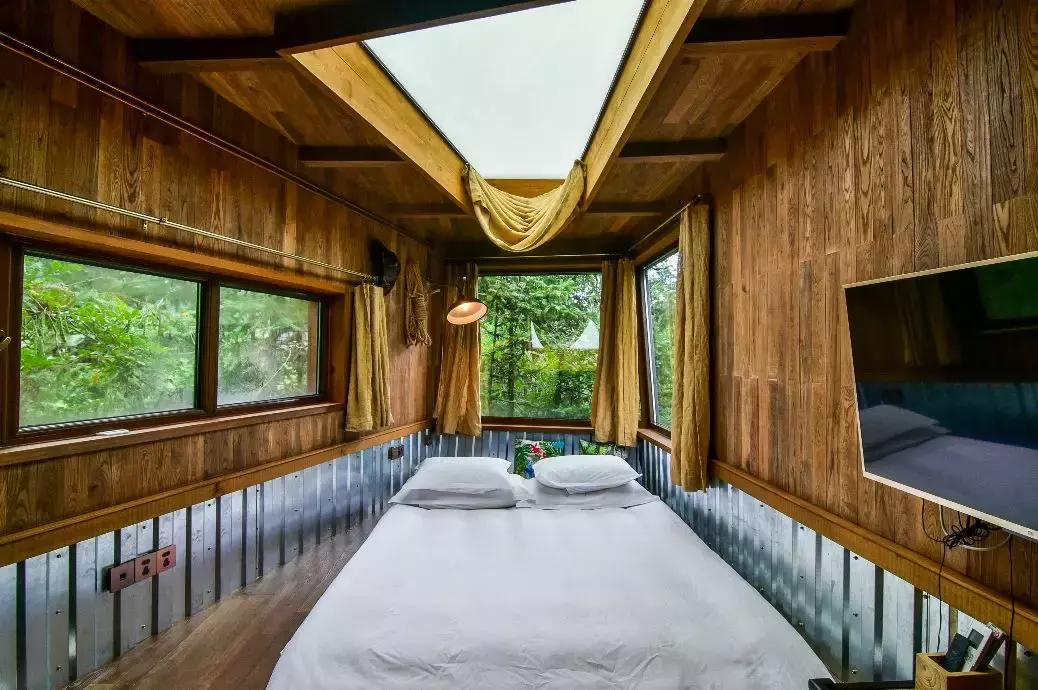 这片媲美京都的红叶之森只藏15栋梦幻树屋，杭州1.5h直达！