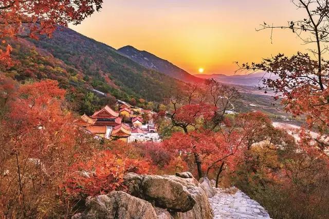 不伦瑞克对杜塞尔多夫实单,杜塞尔多夫4比3大逆转