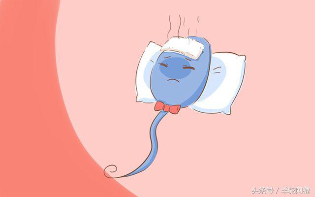 没有受孕的精子最后都去哪了,没有受孕的精子都去哪了