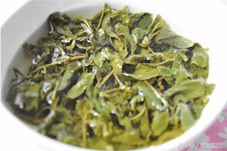 蔬菜淘米水过期牛奶放一起发酵,牛奶浇淘米水的禁忌