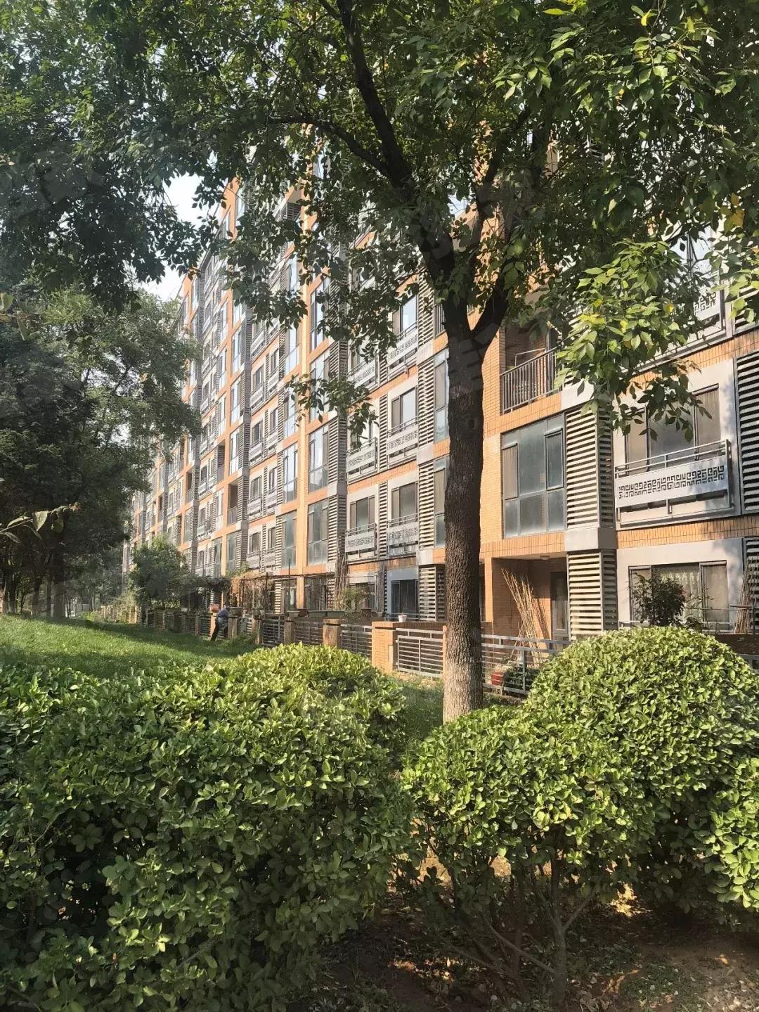 踩盘后楼盘火爆文案,踩盘房山