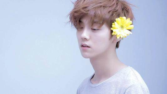 武艺单身原因,武艺回应择偶标准