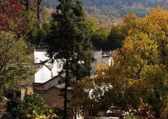 秋天的安徽,这才是安徽秋天该有的样子