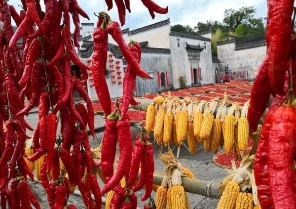 秋天的安徽,这才是安徽秋天该有的样子