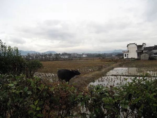 秋天的安徽,这才是安徽秋天该有的样子