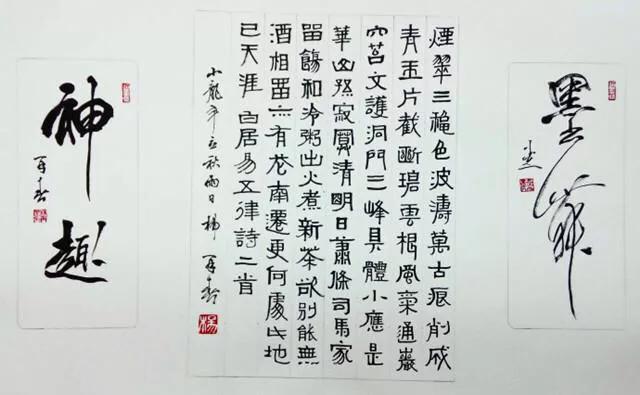 杨再春两尺开书法作品集,杨再春书法行云流水
