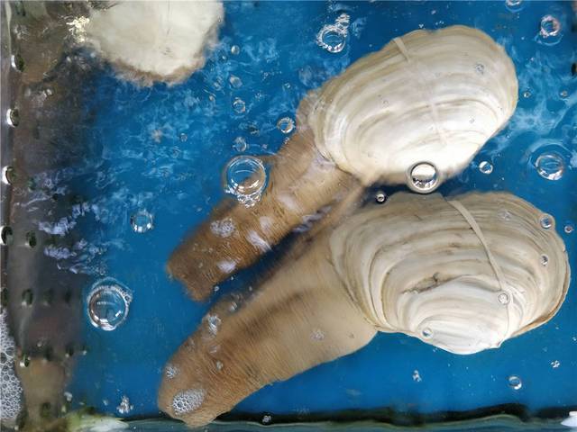 海南海口自由行美食,来海口开启美食之旅