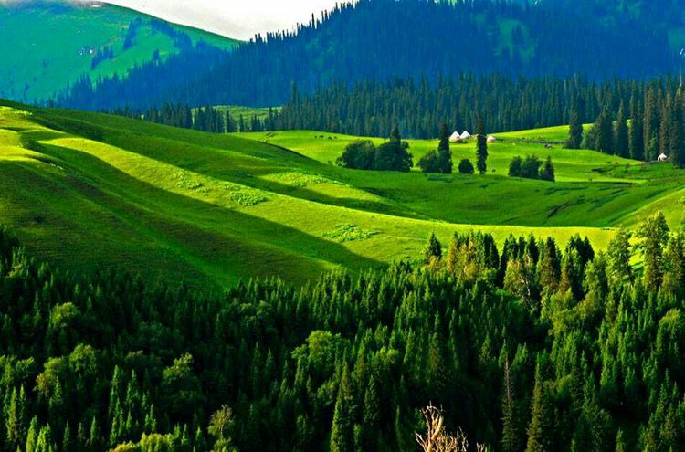 *疆新**是个好地方作者：刘尊鑫