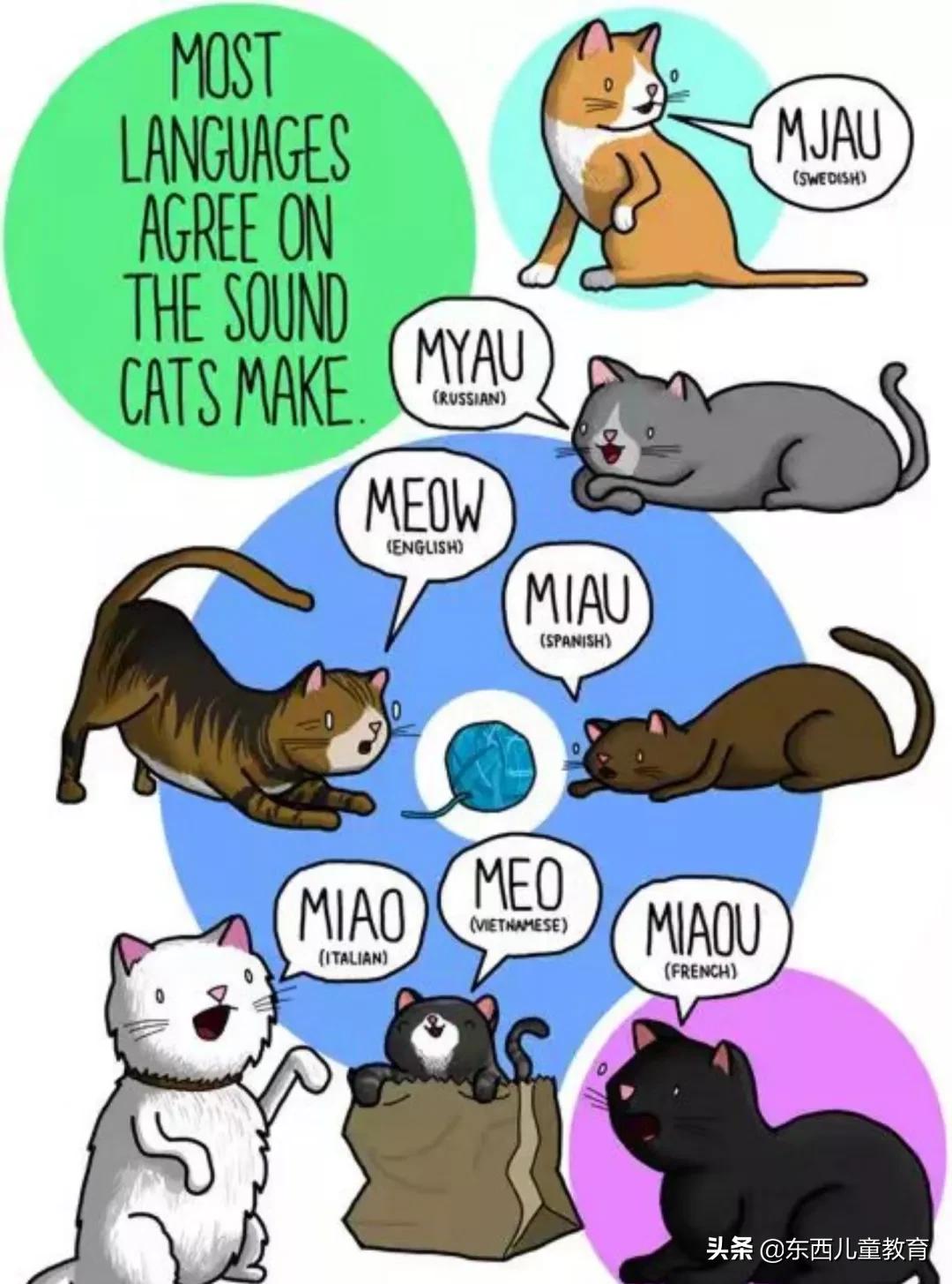 让孩子又兴奋又有效的英语学习方式，我一定要安利给你