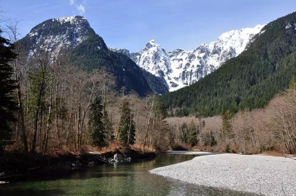 大温的“远东”：在枫树岭皮特草原们生活是怎样的感受？