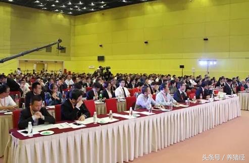 2024李曼养猪大会主要内容,李曼养猪大会和畜博会有什么区别