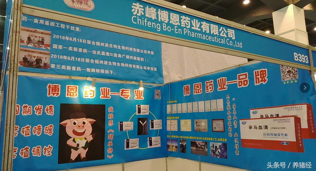 2024李曼养猪大会主要内容,李曼养猪大会和畜博会有什么区别