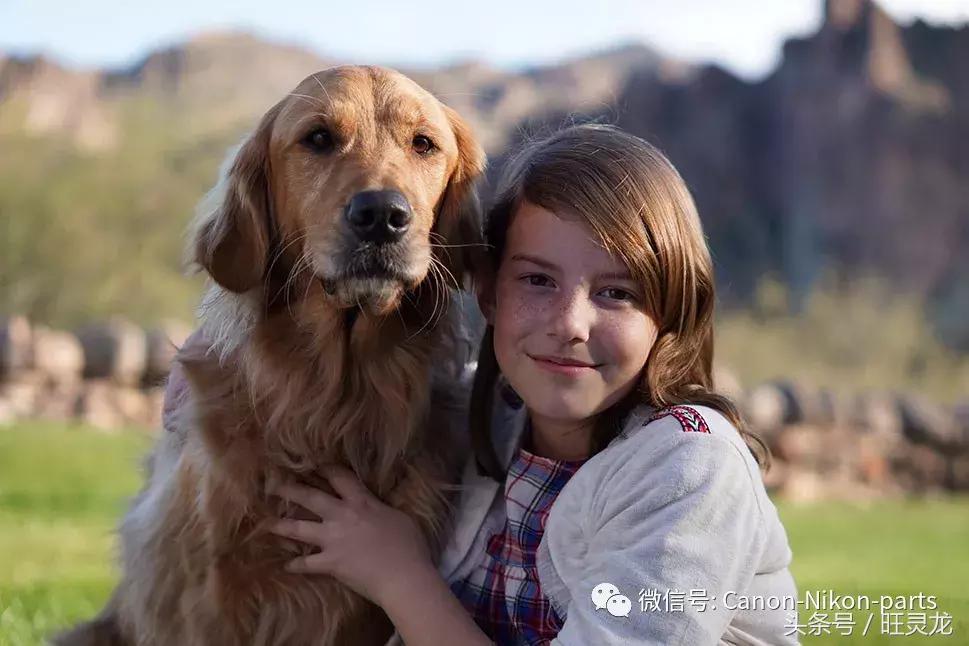 索尼微单a6000调色彩,索尼微单a6000l教程