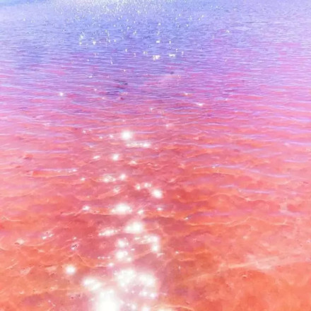 张艺兴的MV外景到底有多好看,引得李荣浩和男人帮集体转发?