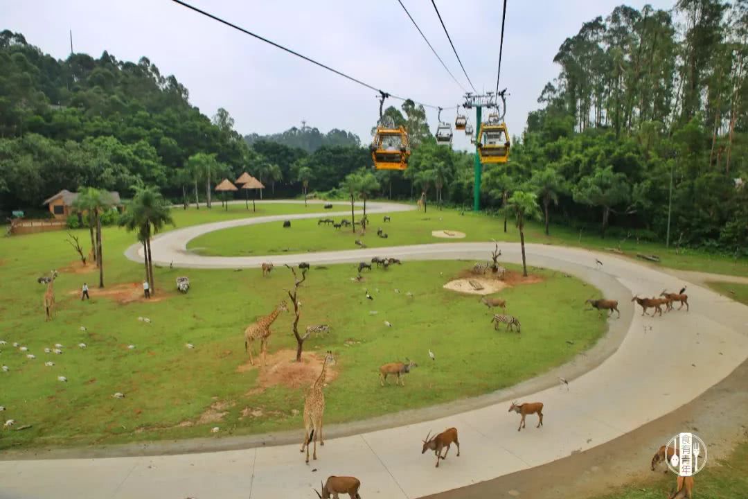 动物园万圣节里面有什么,万圣节动物王国