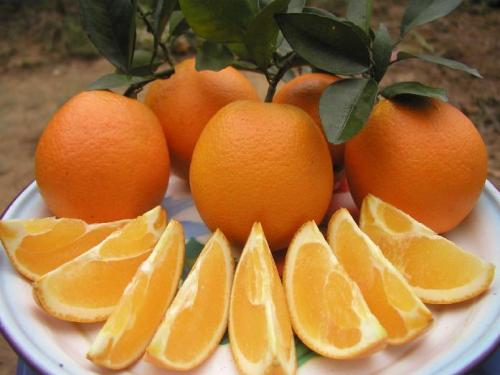 要不要跟这个地方的特产比一比？比得过任何一种，算我输！