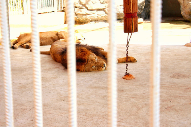 中国旅游前必看攻略,旅游攻略看完这篇文章轻松搞定