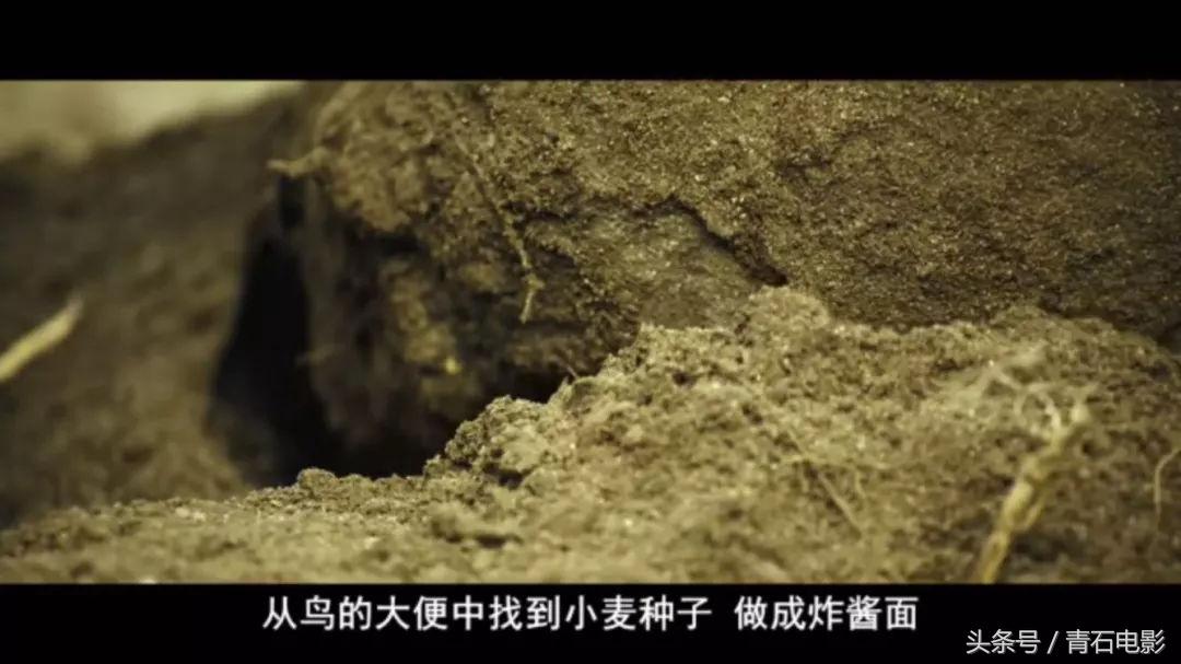 躲在孤岛做炸酱面被神秘女盯上！现代版鲁滨逊，全片又丧又暖！