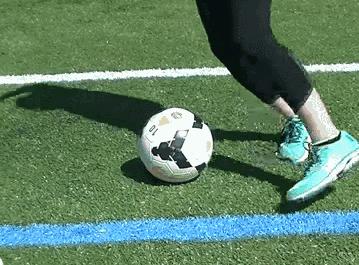 广东肇庆足球学校排名,肇庆有几所足球学校