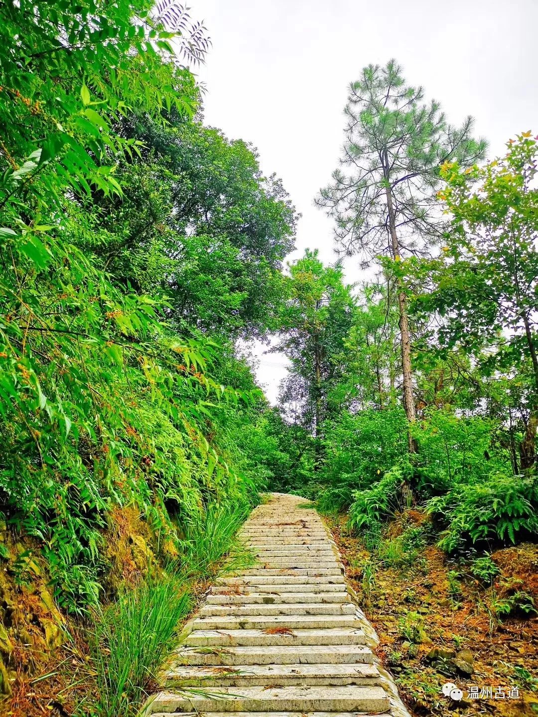 瓯海瞿溪风景,远山近水如诗如画