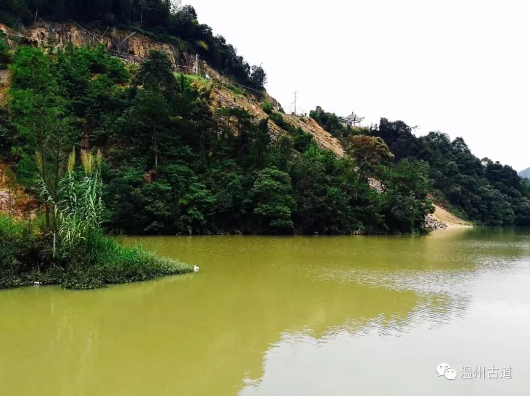 瓯海瞿溪风景,远山近水如诗如画