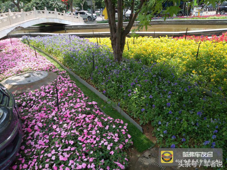 哈弗h2车主真实感受,2015年哈弗h2油耗多少