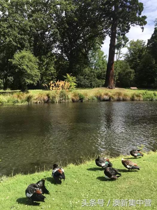 中专学历45岁留学新西兰,大龄留学新西兰好吗