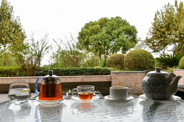 探秘2500亩魔都后花园!欧式别墅独栋、宠物乐园、动物农场高尔夫