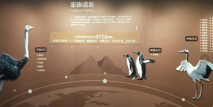 东营黄河入海口旅游攻略,东营河海交汇旅游攻略