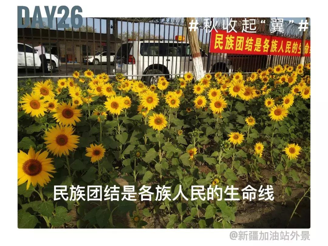 备好酒，听我们秋收起“翼”的故事！