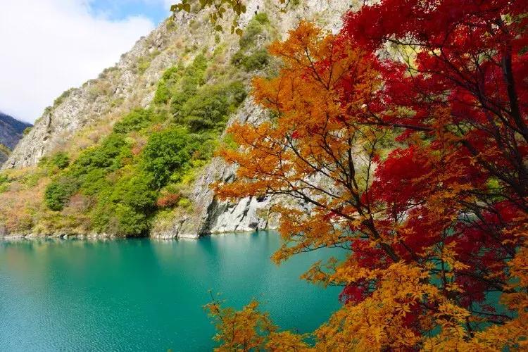 阿坝赏秋一日游,带你看阿坝州秋天的美景